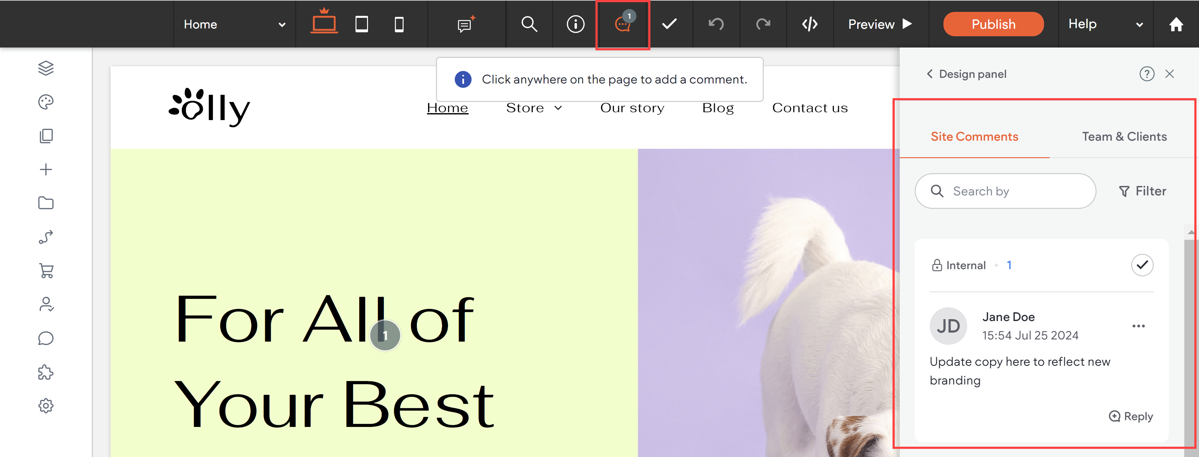 site-comments-editor2.png